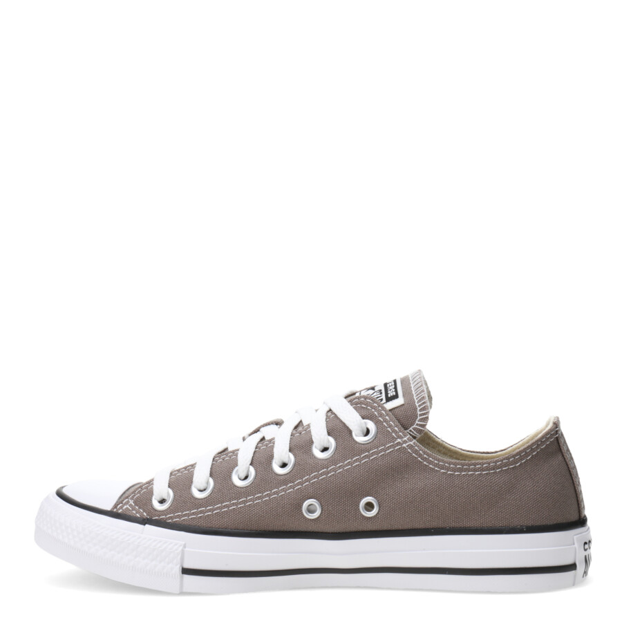Championes Unisex Converse Chuck Taylor All Star Lift Platform Taupe