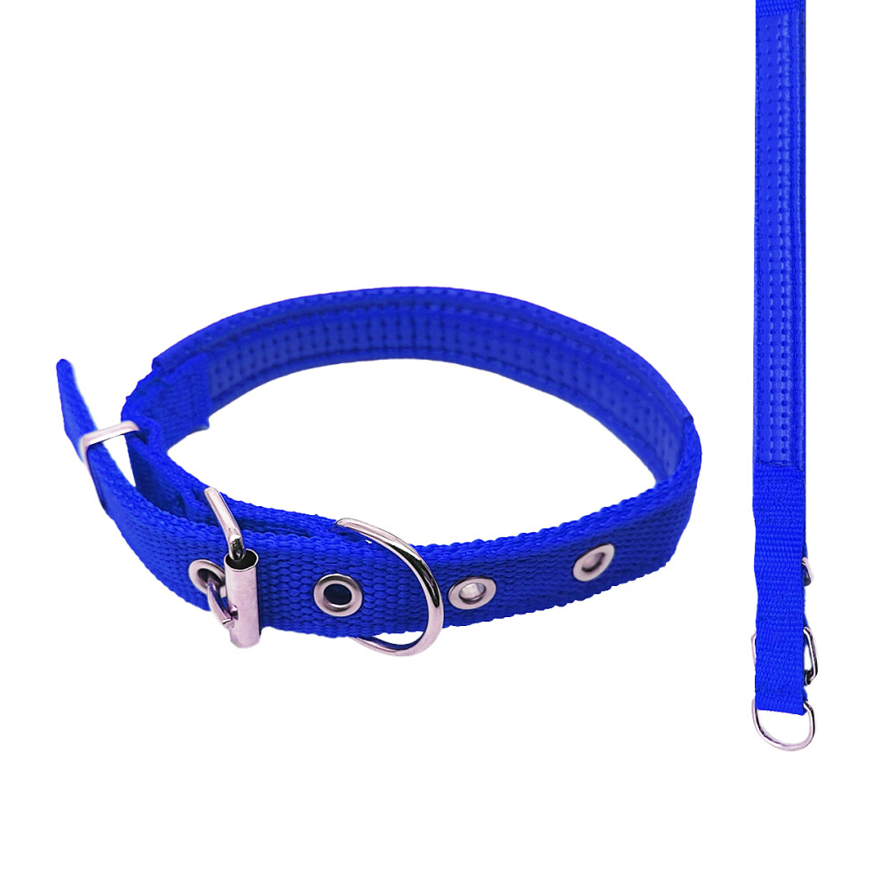 Collar 2cm Perros Gatos Interior Acolchado Color azul