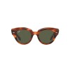 Ray Ban Rb2192 Roundabout 954/31