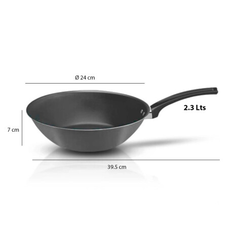 Wok Sartén Antiadherentes Ø24Cm en Aluminio Panelux Magnific Grafito