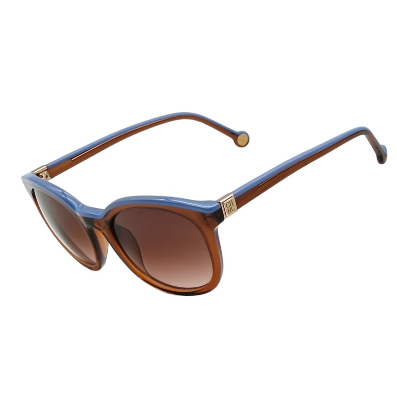 CH065433 marróncombinado