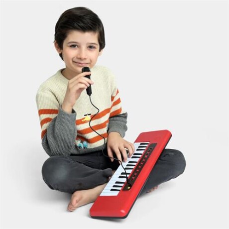 Piano órgano instrumento musical Sc