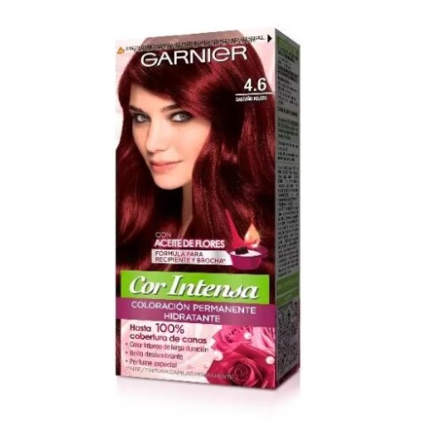 Garnier Nutrisse Cor intensa Tono 4.6