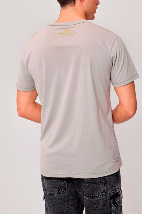 T-SHIRT ARLEN RUSTY Gris