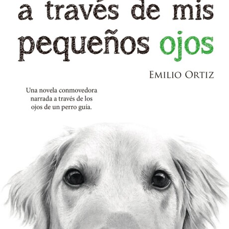 A TRAVES DE MIS PEQUEÑOS OJOS A TRAVES DE MIS PEQUEÑOS OJOS