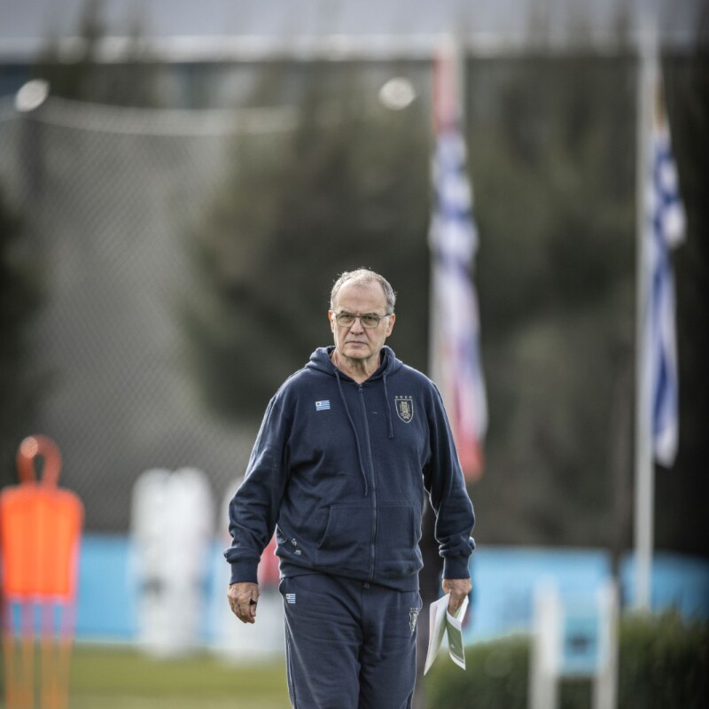 Canguro de Concentración - AUF Canguro de Concentración - AUF