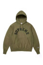 CHAMPION HOODED SWEATSHIRT Verde