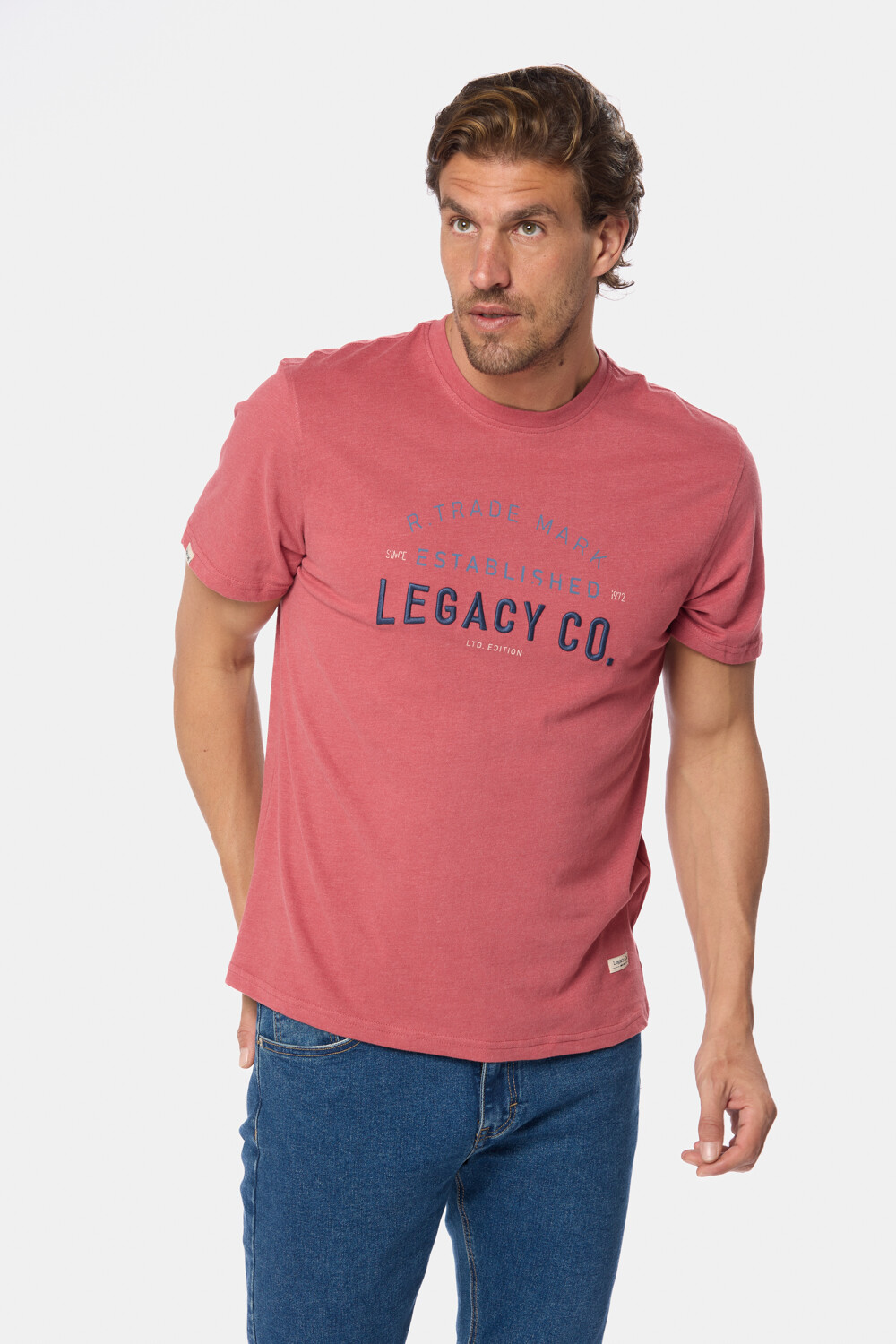 REMERA ESTAMPADA Bordo