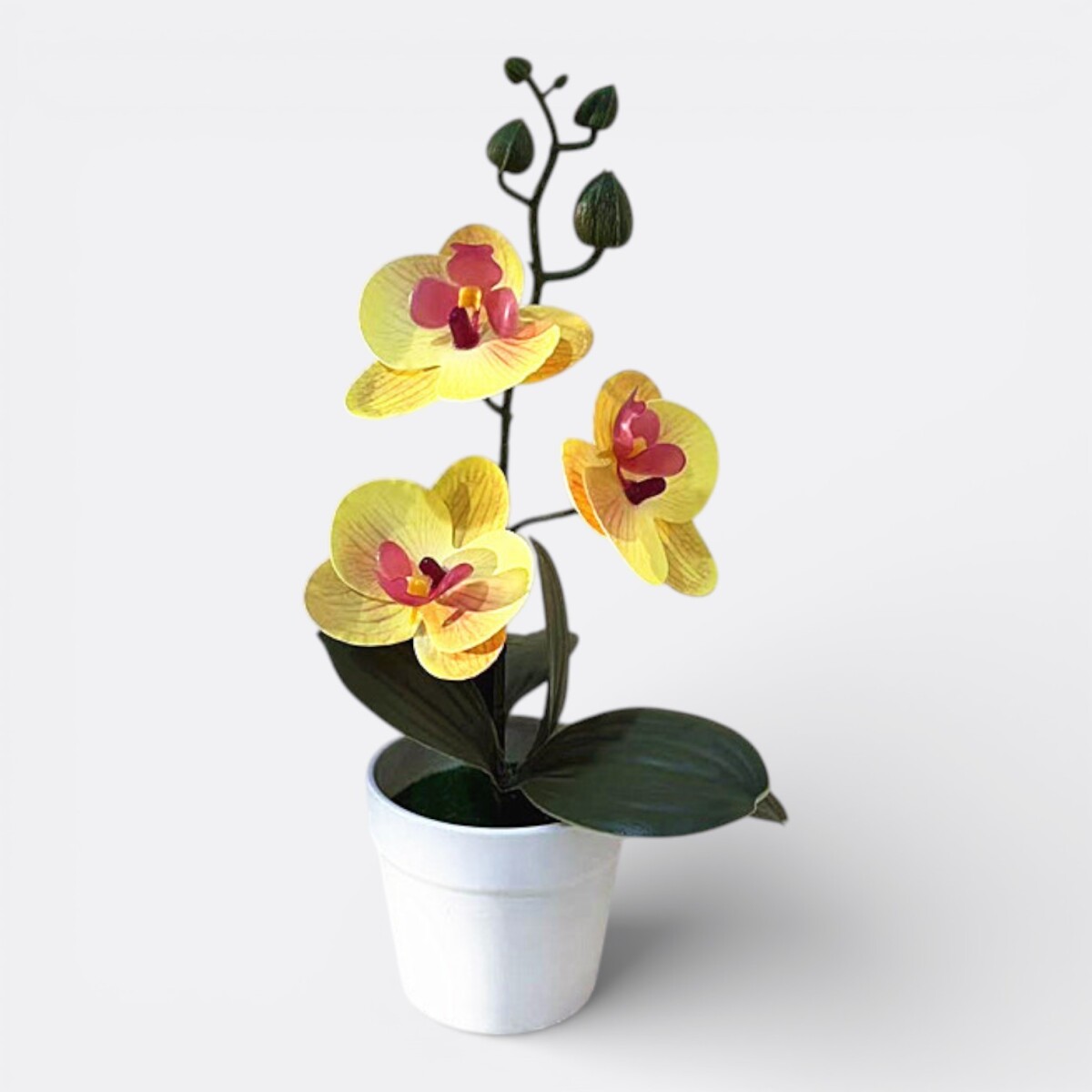 Orquídea Artificial Mediana - Amarillo 