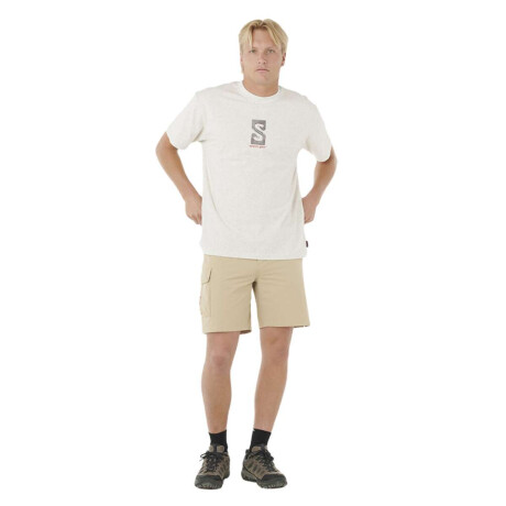 Bermuda Rip Curl Boardwalk Search Volley Beige