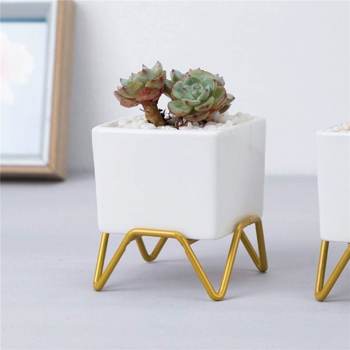 MACETA CERAMICA C/BASE 6x6x9CM BLANCO/DORADO 