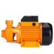 DINGQI BOMBA DE AGUA PERIFÉRICA 0.5 HP 26 L/M 21 MTS Dingqi Bomba De Agua Periférica 0.5 Hp 26 L/m 21 Mts