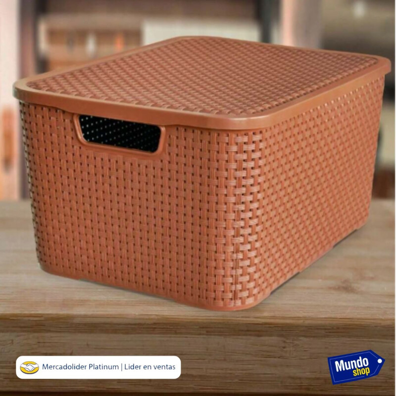 Caja Cesto Canasto Organizador Rattan 40lts Tapa - Grande-m Caja Cesto Canasto Organizador Rattan 40lts Tapa - Grande-m