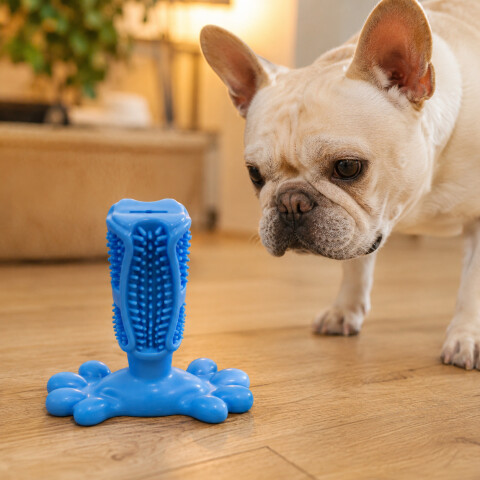 Juguete Para Perros Dental Ventosa Anti Sarro Resistente Color Azul