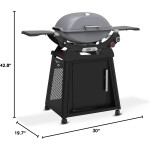 Weber Q2800 Gris Weber Q2800 Gris