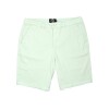 Short Zoo York Verde