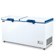 Freezer 2 Tapas Ciegas 600 lts Freezer 2 Tapas Ciegas 600 lts