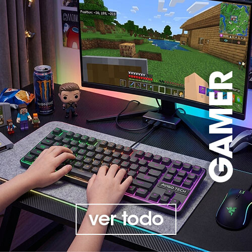 Gamer