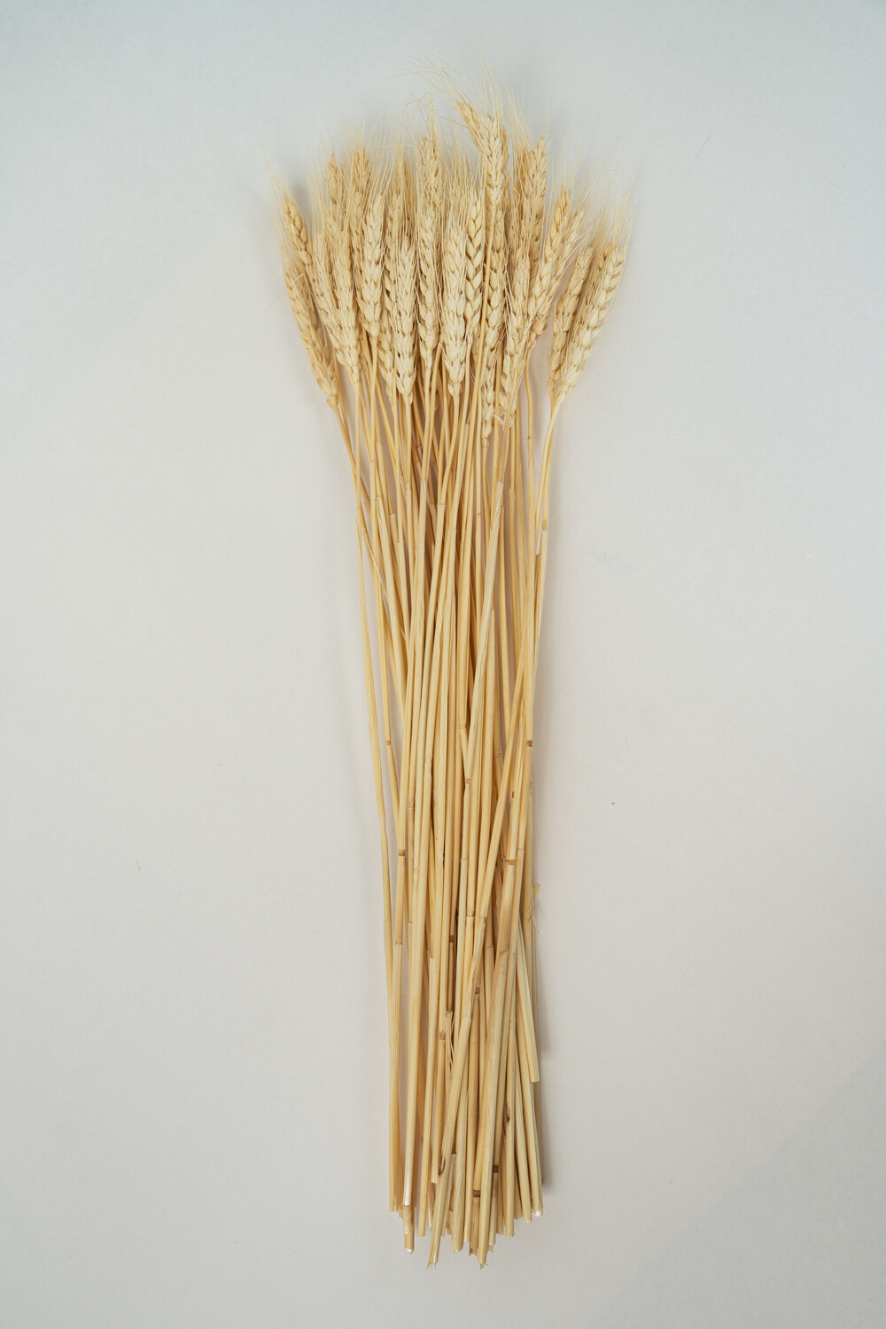 Deco Floral Espiga De Trigo Color Unico