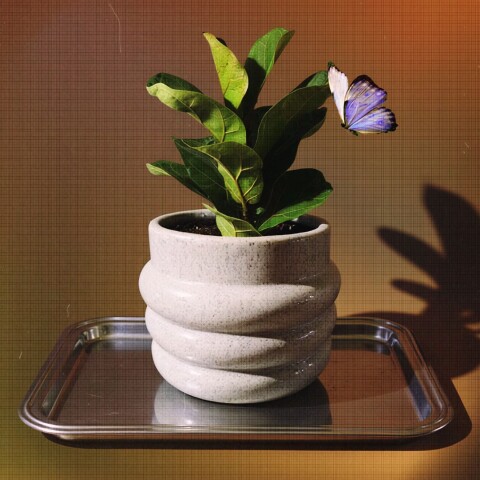 Maceta de cerámica Saturno Maceta de cerámica Saturno