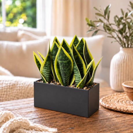 Sansevieria Artificial con Maceta Rectangular Negra / Largo 20cm x Alto 25cm x Ancho 10cm Sansevieria Artificial con Maceta Rectangular Negra / Largo 20cm x Alto 25cm x Ancho 10cm