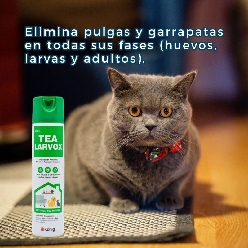 TEA LARVOX FRASCO 440 ML KONIG TEA LARVOX FRASCO 440 ML KONIG