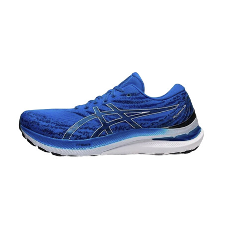 Championes Asics Gel-Kayano 29 Blue/White
