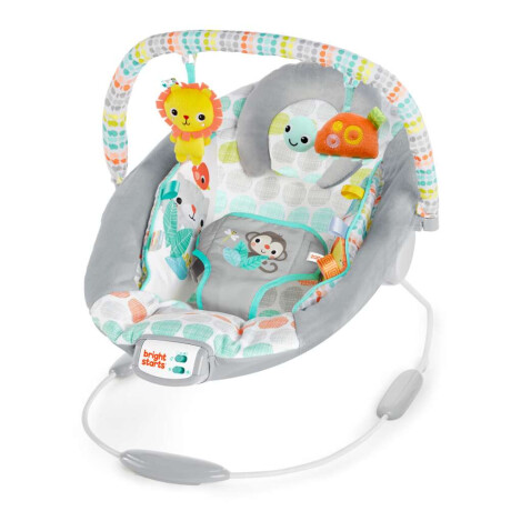 Bouncer Deluxe Bright Starts Whimsical Wild