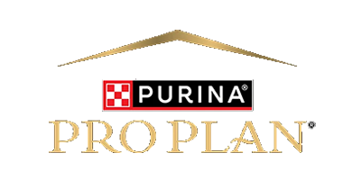Pro Plan