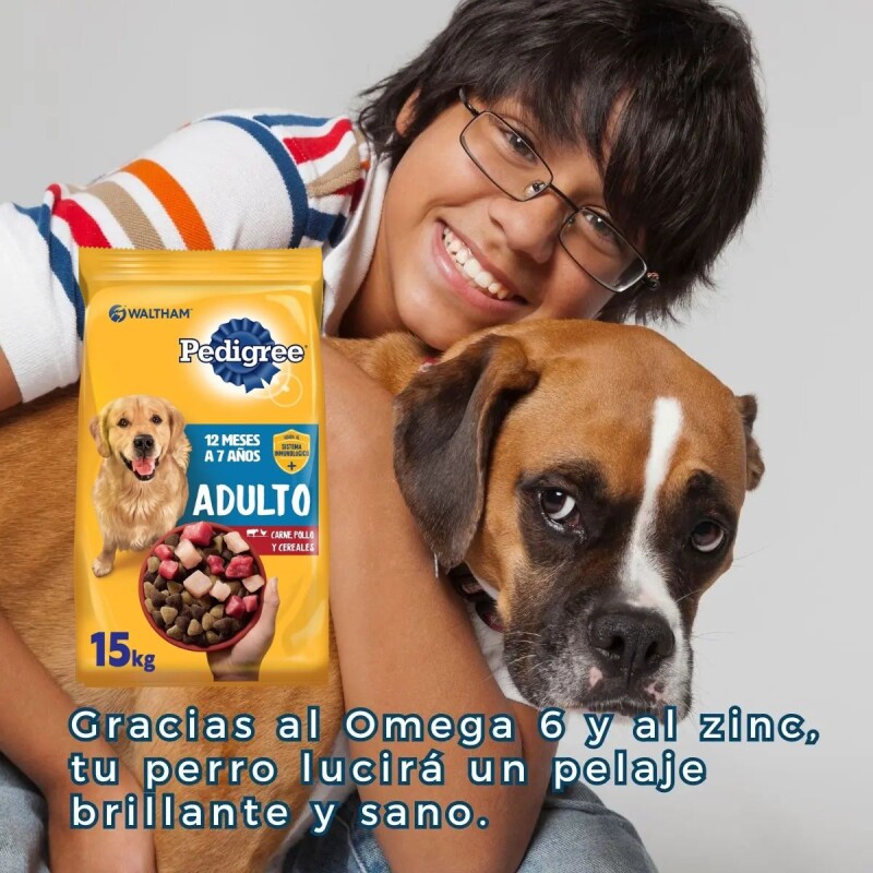 PEDIGREE PERROS ADULTOS 15 KG + SNACK BISCROK DE REGALO