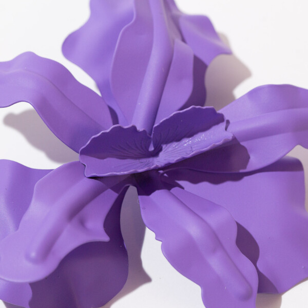 CARAVANAS VIOLE CARAVANAS VIOLE