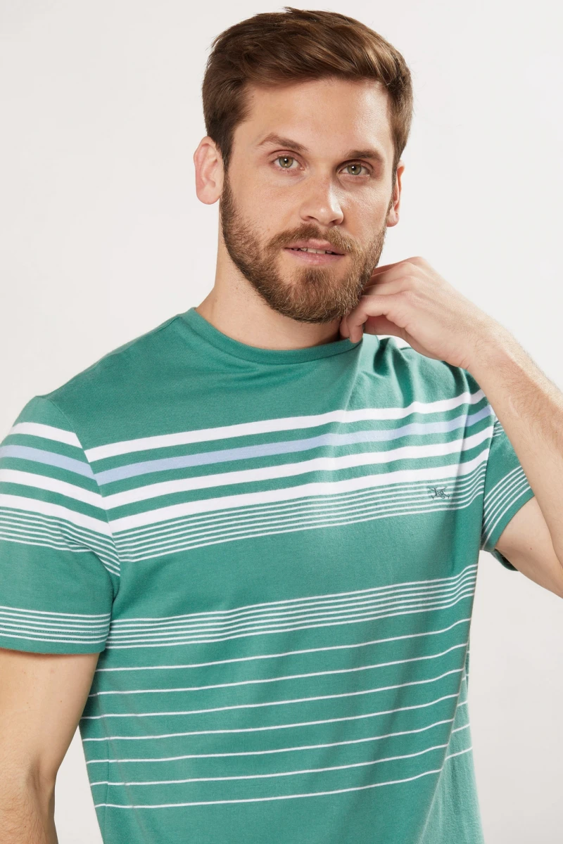 REMERA RAYADA - Verde 