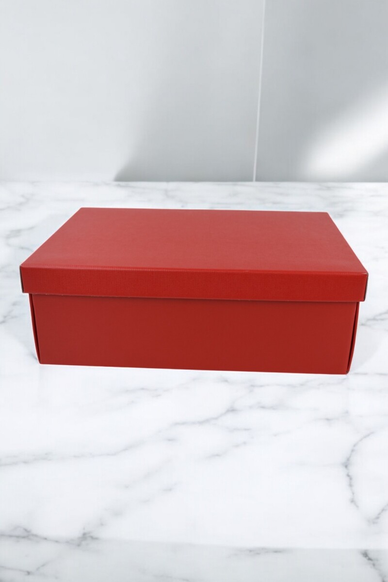 Caja+tapa easy 38x26x13 cm. - LINO ROSSO 