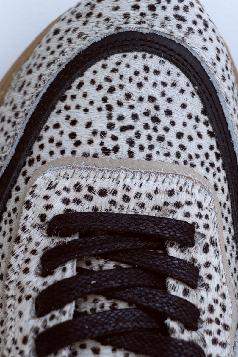 Shell Print 2