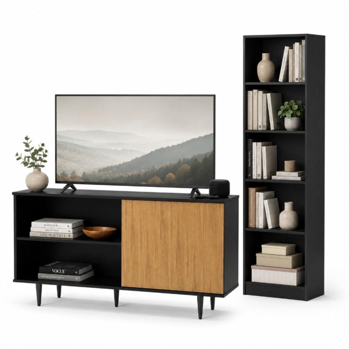 Combo de living Rack de Tv PADUA y Biblioteca Multiusos Anita - Negro 