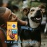 PEDIGREE PERROS ADULTOS 21 KG + 3 KG DE REGALO