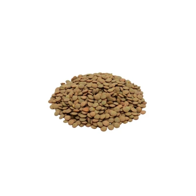 LENTEJAS CANADIENSES 500G Lentejas Canadiense 500g