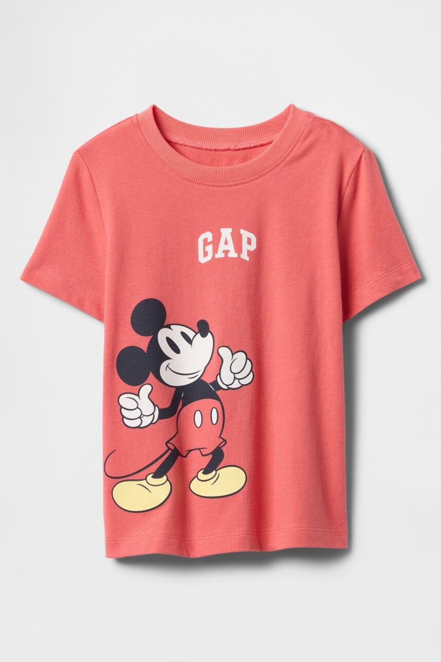 Remera Disney Toddler Niño Watermelon Ice