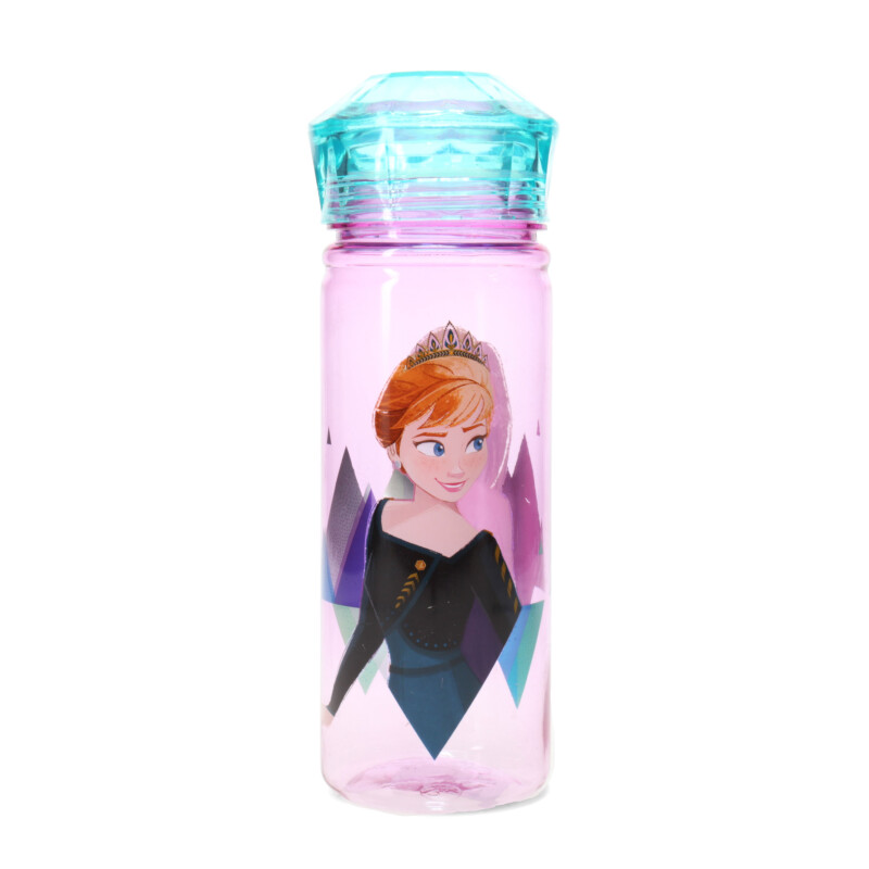 Botella Disney Frozen Diamond Rosa - Verde Agua