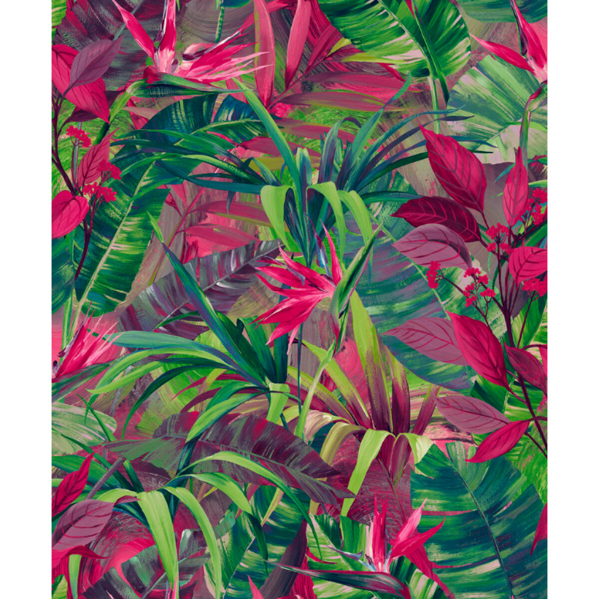 COLECCIÓN JUNGLE FEVER - PARADISE FLOWER - ORIGEN BELGA - 