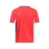 REMERA NUO Nacional Oficial Junior Gray