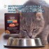 GRAN PLUS EN SALSA GATO CASTRADO SALMON Y POLLO 85 GR