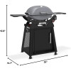 Weber Q2800 Gris Weber Q2800 Gris