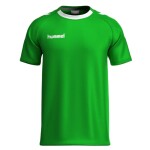 REMERA LISA HOMBRE VERDE