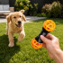 Juguete Morder Perros Gatos Limpieza Dental Golosinas Premio Color Negro Naranja
