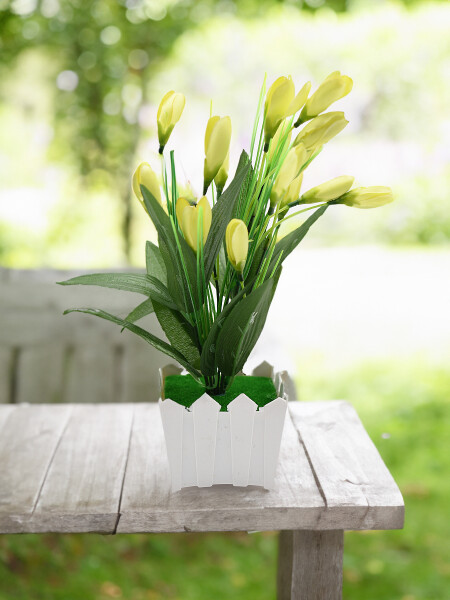 PLANTA TULIPAN AMARILLO