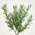 Difusor de fragancia 30ml romero