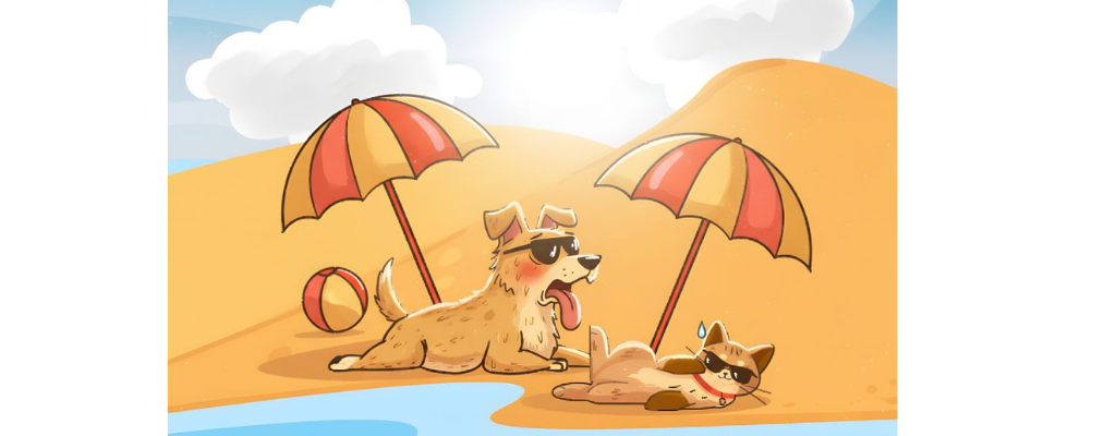 Golpe de calor en mascotas