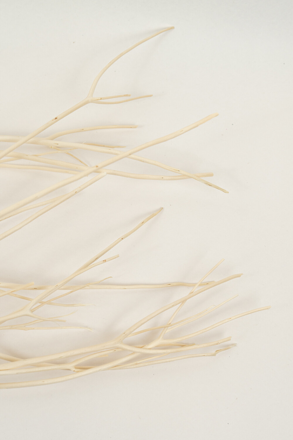 Deco Floral Ramas Secas Color Unico