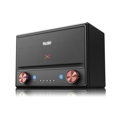 Sistema De Audio Retro XION XI-XTRETRO 10000W Con Bluetooth Sistema De Audio Retro XION XI-XTRETRO 10000W Con Bluetooth